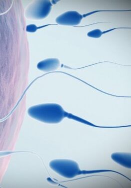 Spermogramma a bassa potenza